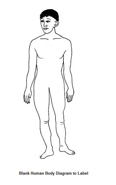 blank-human-body-diagram.jpg