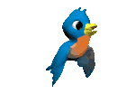 parakeet1.gif