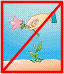 6.gif